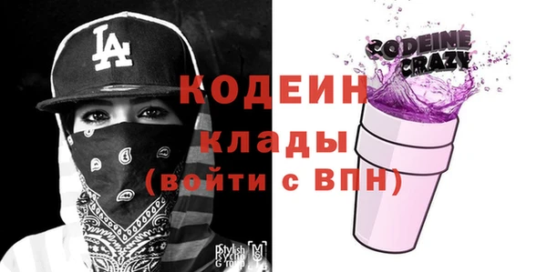 гашик Пересвет