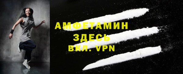 гашик Пересвет