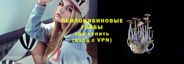 гашик Пересвет