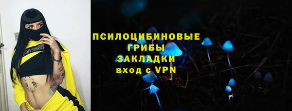 гашик Пересвет