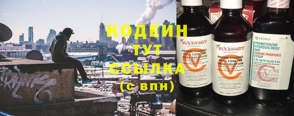 гашик Пересвет