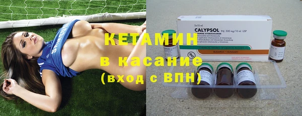 гашик Пересвет
