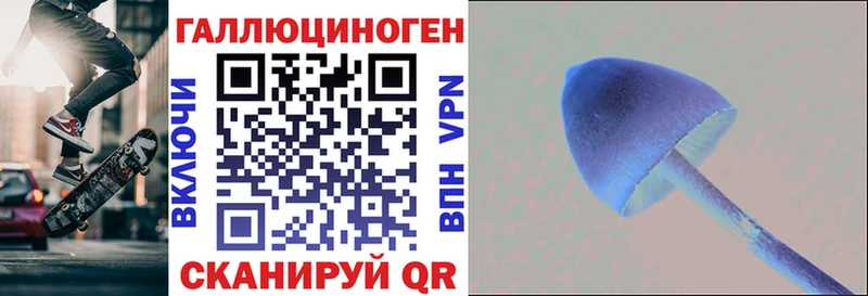 продажа наркотиков  Куса  Псилоцибиновые грибы Psilocybine cubensis 